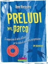 Remo vinciguerra preludi usato  Urbisaglia