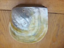 Capiz shell shell for sale  OSWESTRY
