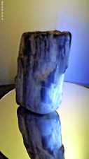 Petrified wood chunk for sale  Lacey