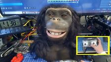 Alive animatronic chimpanzee for sale  Hillsborough