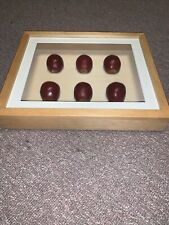 Wooden apple shadowbox for sale  Boiling Springs