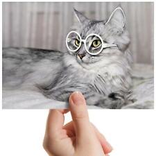 Cat glassess funny for sale  Shipping to Ireland