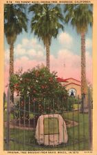Postcard riverside california for sale  Midlothian