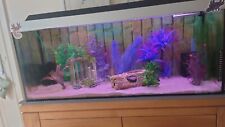 3ft aquarium axolotl for sale  MELTON MOWBRAY