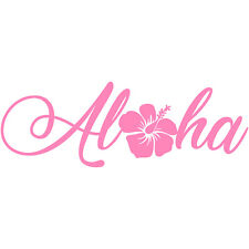 Usado, Adesivo de vinil Aloha Hibiscus 4" adesivo para janela de carro Havaí praia flor  comprar usado  Enviando para Brazil