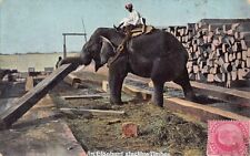 India elephant stacking d'occasion  France