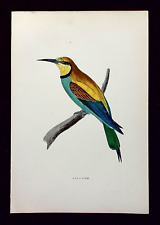 Bee eater original for sale  ILKLEY