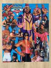 Poster wwf wrestling gebraucht kaufen  Leuna