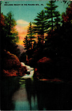 Postcard pennsylvania secluded for sale  La Salle