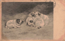1903 Edwardian postcard Helen Maguire dogs, used for sale  Shipping to South Africa