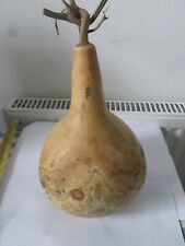 Birdhouse bottle gourds for sale  LONDON