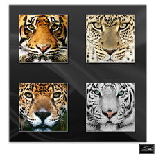 Tigre León Cheetah Animales Cuadro Enmarcado Lienzo Arte Imagen Hdr 280gsm segunda mano  Embacar hacia Spain