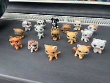 lps dogs for sale  BLACKWOOD