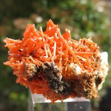 Minerali crocoite rossa usato  Venegono Superiore