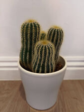 Cactus white ceramic for sale  LONDON