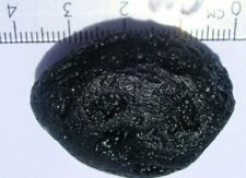 Tektite meteorite large for sale  Virginia Beach