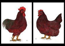 Rhode Island Red Hen Cockerel Pair Of Artist Signed Limited Card Prints Chickens for sale  BRIDPORT