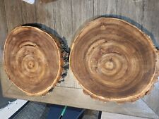 Black walnut slab for sale  Osceola