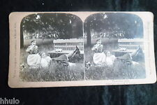 Occasion, STA803 Scene de genre 2 femmes banc nature jardin albumen Photo stereoview 1900 d'occasion  Montrouge