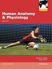 Human anatomy physiology for sale  Shipping to Ireland