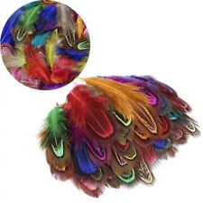 Pheasant feathers natural for sale  EDINBURGH