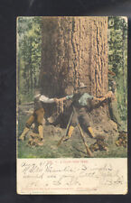 PORTLAND OREGON GIANT PINE TREE LOGGING LOGGERS VINTAGE POSTCARD 1907 for sale  Shipping to South Africa