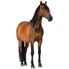 Horse lifesize cardboard for sale  Layton