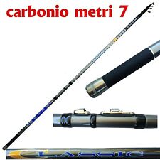 Canna bolognese carbonio usato  Terni