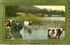 1900s postcard country for sale  SALISBURY