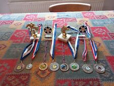 Pony trophies medals for sale  UXBRIDGE