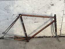 Vintage raleigh copper for sale  Madison
