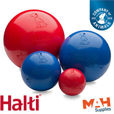 Halti boomer ball for sale  CHESTERFIELD