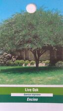 Live oak shade for sale  Ben Wheeler