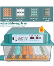 Incubator hatching eggs for sale  SALFORD