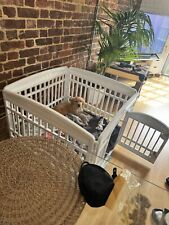 Dog puppy playpen for sale  Shipping to Ireland