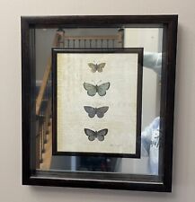 Butterfly mirror picture for sale  Poughkeepsie
