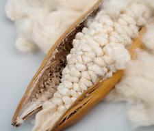 Natural kapok cotton d'occasion  Expédié en Belgium