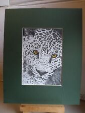 Signed etching leopard for sale  LONDON
