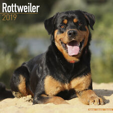 Calendrier 2019 rottweiler d'occasion  Troyes