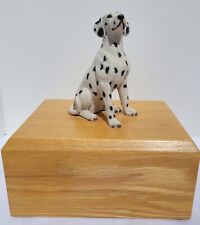 American dalmatian sitting for sale  Hillsborough