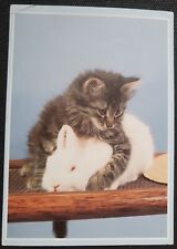 Katzen tierpostkarten tiere gebraucht kaufen  Sondershausen
