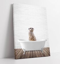 Meerkat bathtub quirky for sale  LONDONDERRY