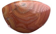 Designer dryhead agate for sale  Collegeville