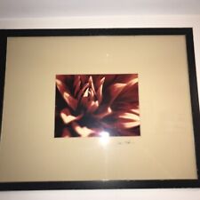 Signed floral photo. for sale  Clementon