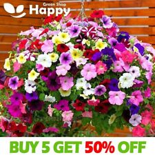 Petunia mix balcony for sale  DONCASTER
