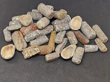 Fossilised belemnites devils for sale  HAVANT