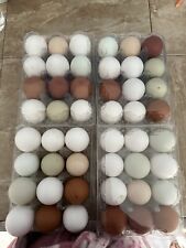 Fertile chicken hatching for sale  Social Circle