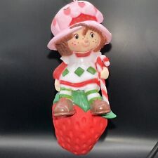 Strawberry shortcake ornament for sale  Pearland