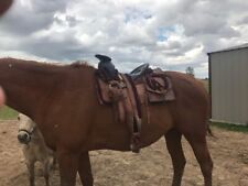 Charro mexican saddle for sale  Vandalia