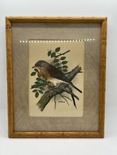 Vintage bird print for sale  Seguin